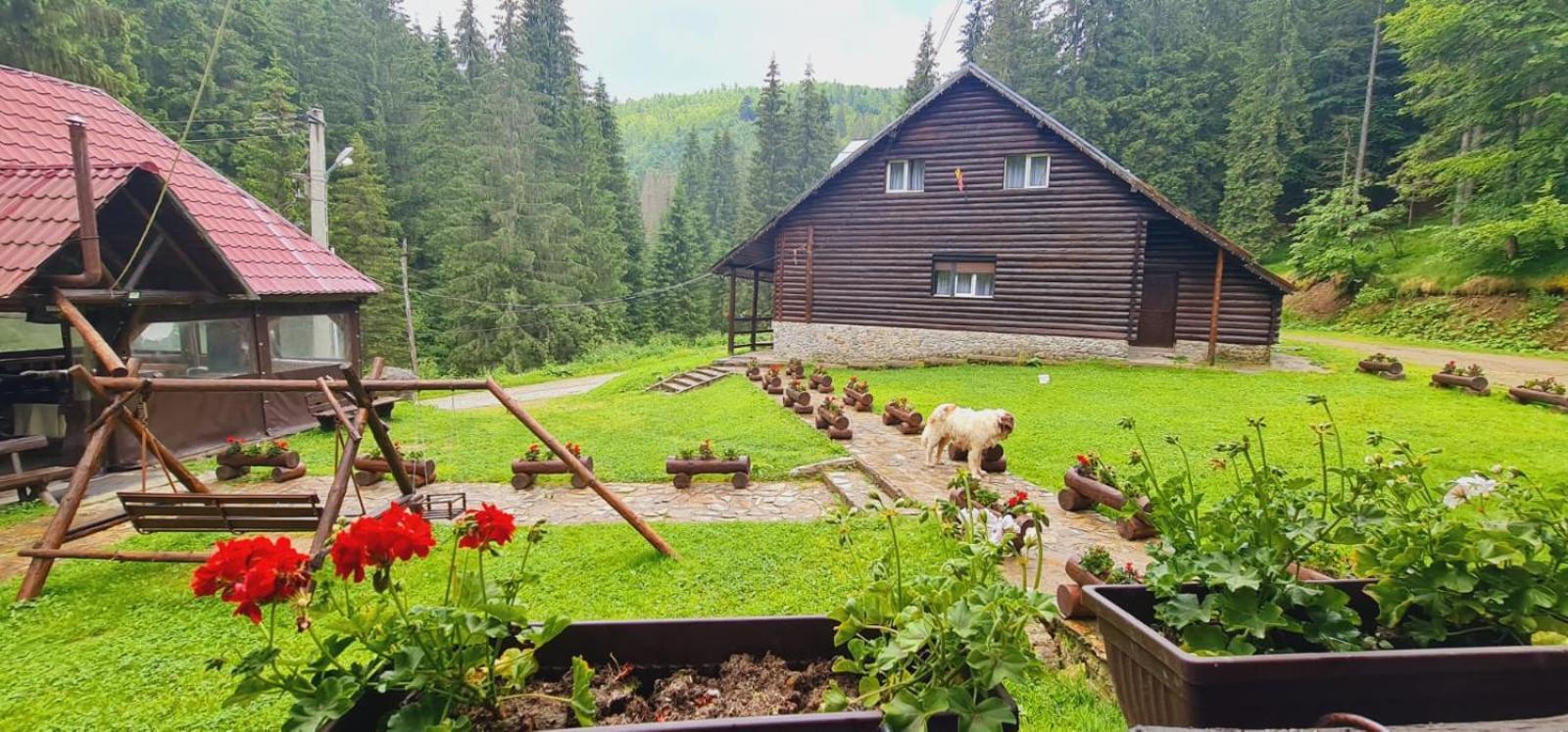 Cabana Patru Brazi Stana de Vale Ngoại thất bức ảnh