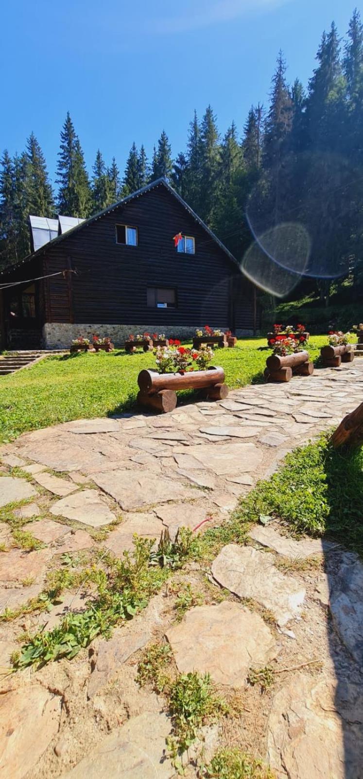 Cabana Patru Brazi Stana de Vale Ngoại thất bức ảnh